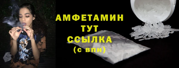 индика Магас